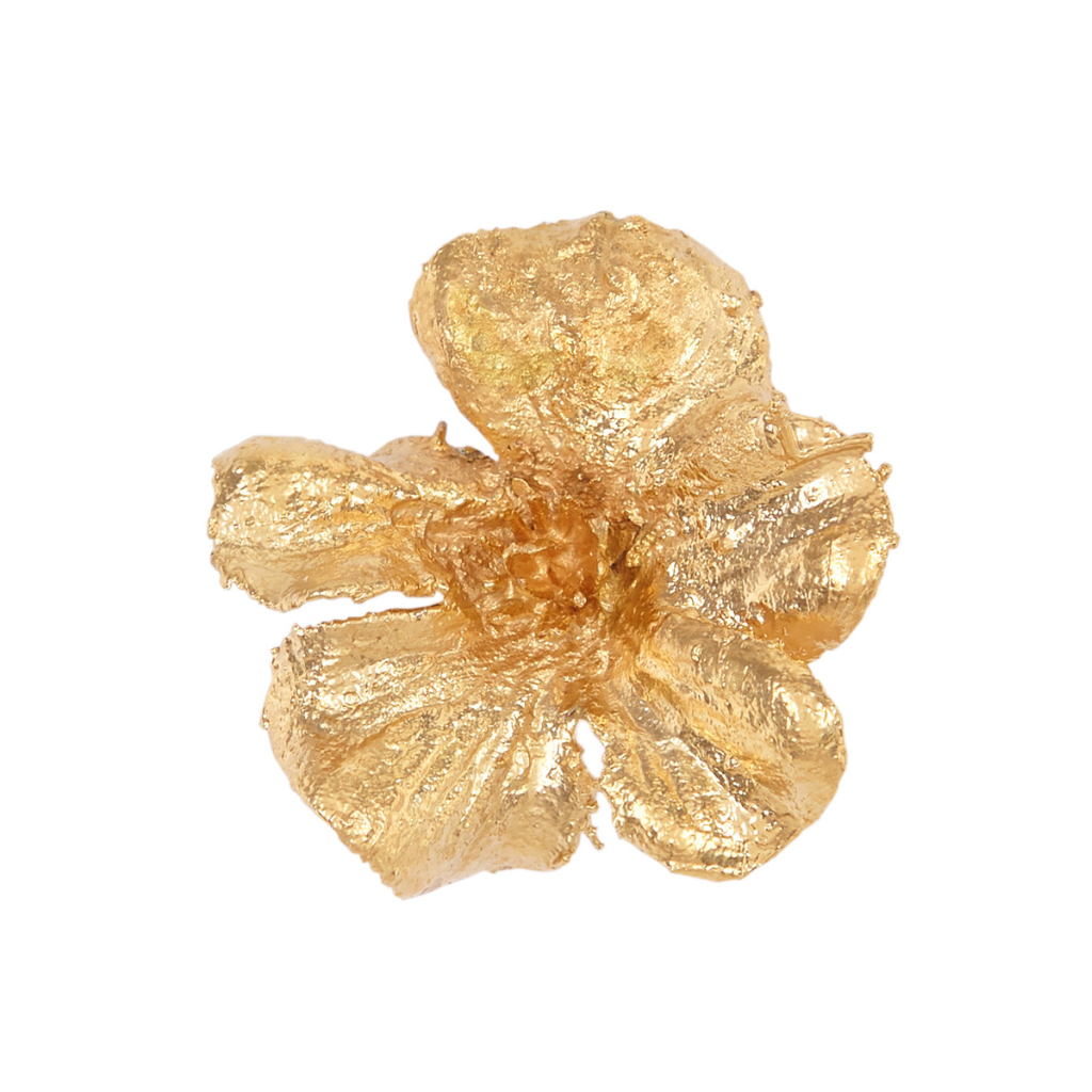 Clavel